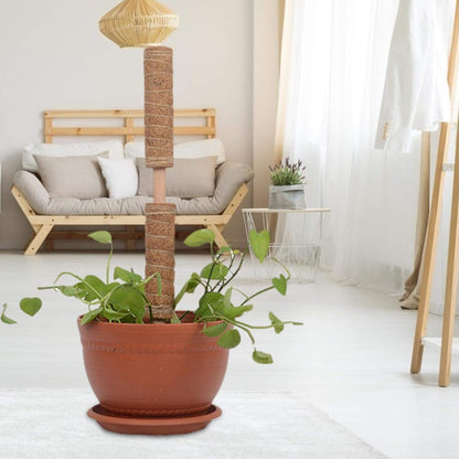 Kokosmoos Stab für Kletterpflanzen – Natürliche Rankhilfe für Zimmerpflanzen und Garten
