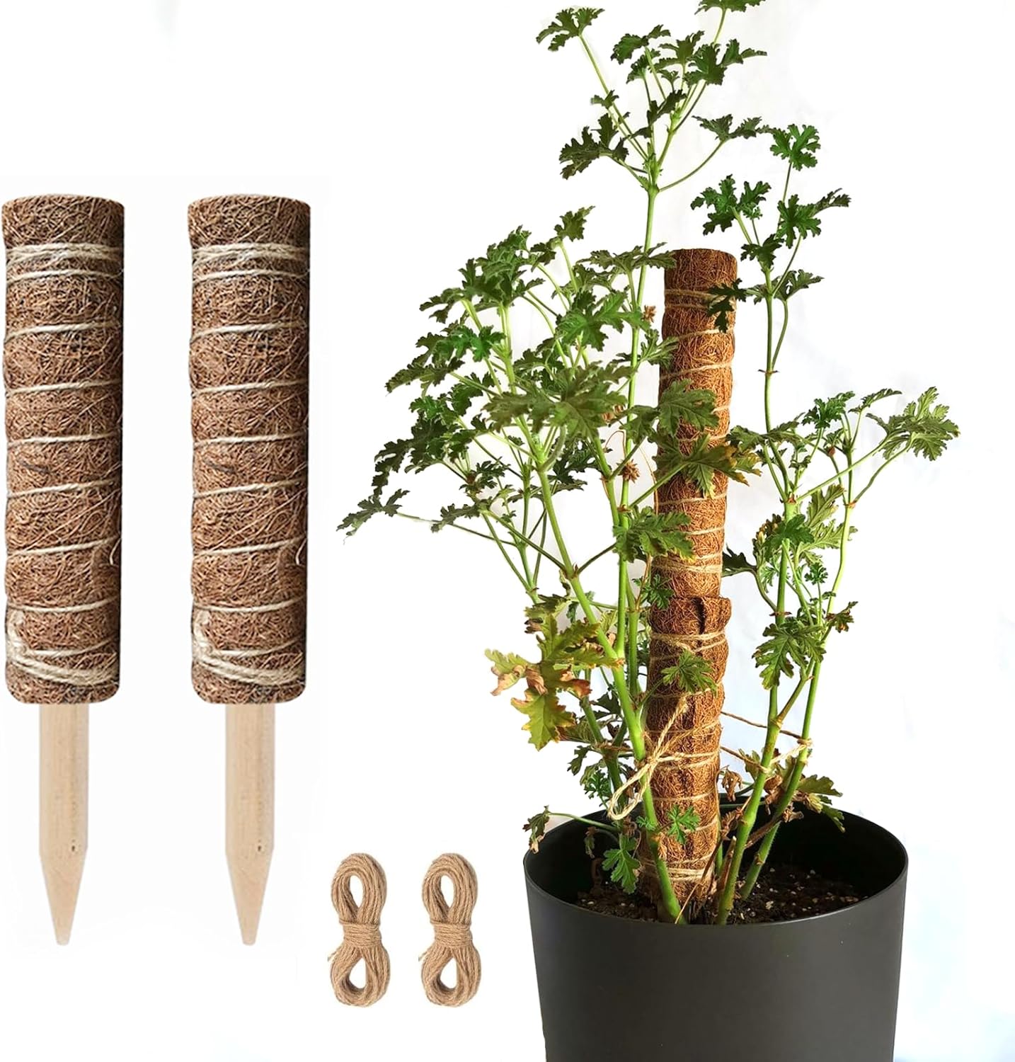Kokosmoos Stab für Kletterpflanzen – Natürliche Rankhilfe für Zimmerpflanzen und Garten