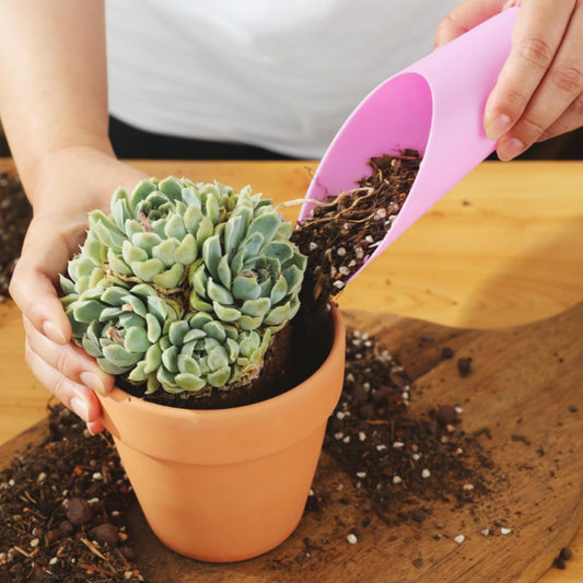 Plastik Pflanzschaufel – Praktisches Werkzeug zum Umsetzen und Düngen von Pflanzen