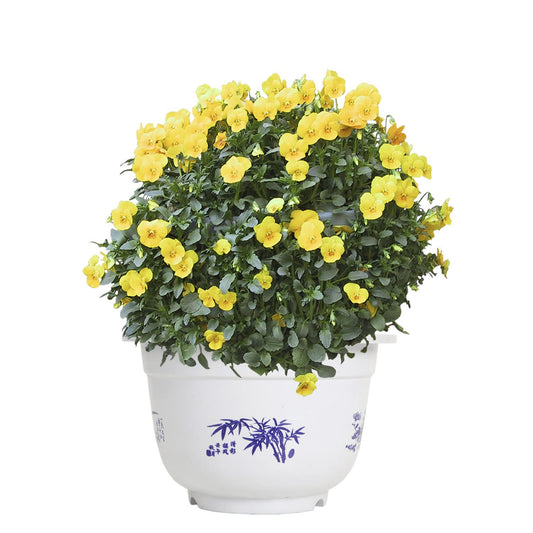 Blumentopf aus Kunststoff mit Bambusmotiv – Eleganter Pflanztopf für Balkon und Garten