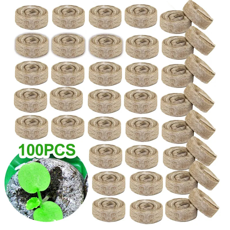 Kokosfaser Torf Anzuchtpellets – Starter für Samenpflanzung