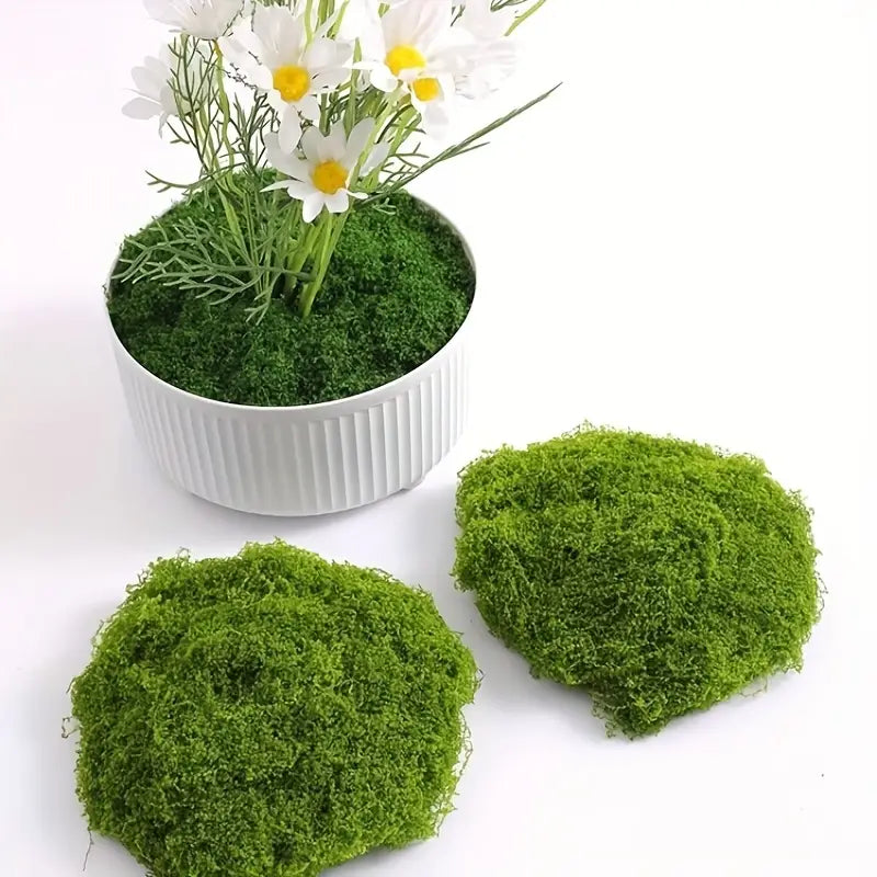 Moos-Überzug Stück – Moos Flocken Ornament für Dekoration und Landschaftsgestaltung
