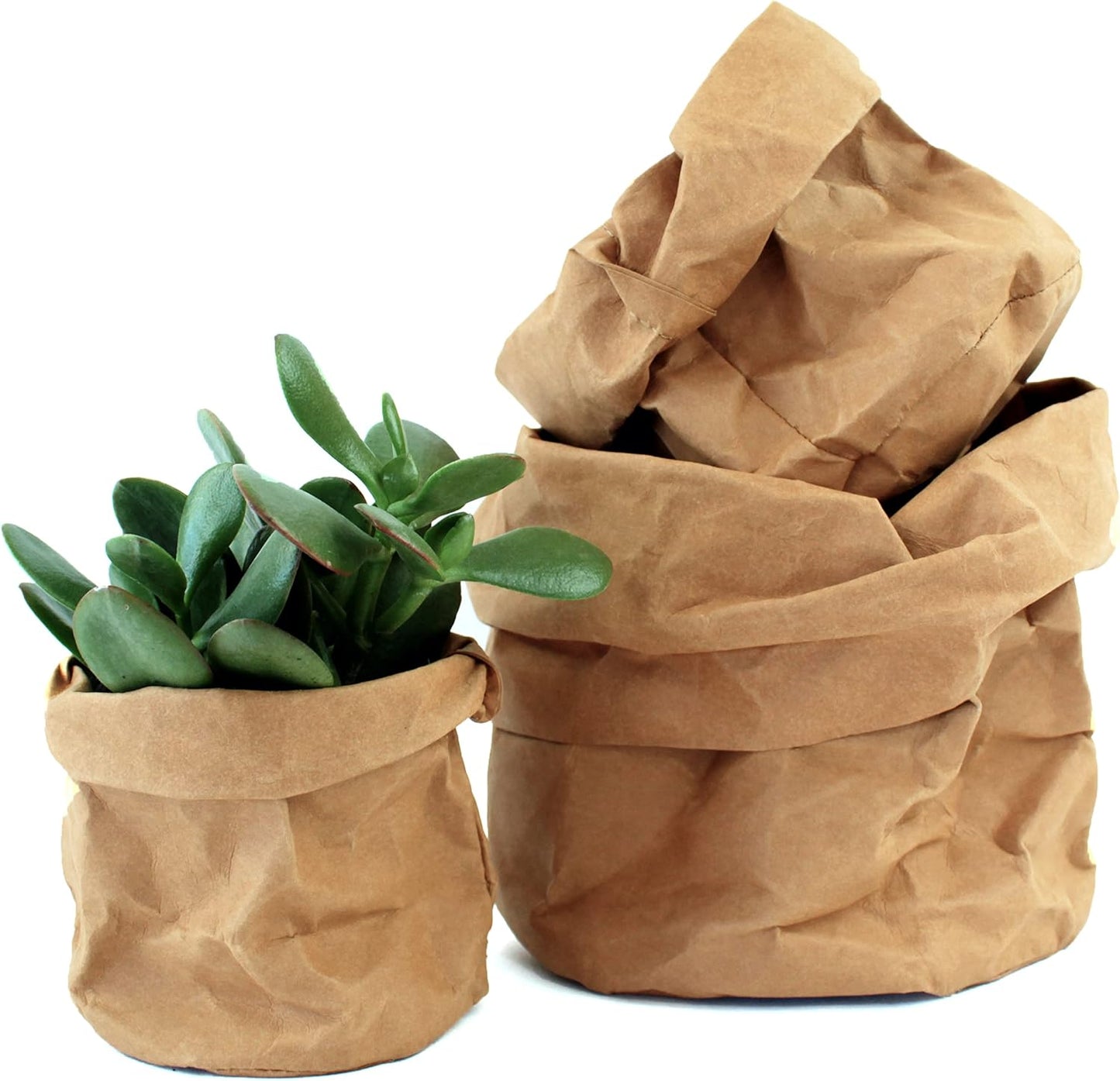 Stylische Pflanzgefäße aus Papier für moderne Dekoration
