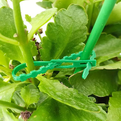 Pflanzenfixierungs-Kabelbinder Set für stabiles Befestigen von Pflanzen
