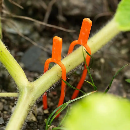Gartenpflanzen Stützklammern aus Kunststoff für optimale Pflanzenstabilität