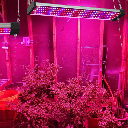 LED Pflanzenlampe mit Vollspektrum-Beleuchtung und Zugschalter für optimales Pflanzenwachstum
