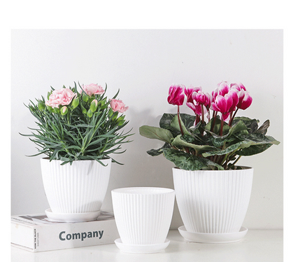 Blumentopf mit Rillenstruktur und Untersetzer – Stabiler Kunststofftopf für Pflanzen