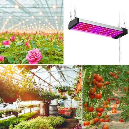 LED Pflanzenlampe mit Vollspektrum-Beleuchtung und Zugschalter für optimales Pflanzenwachstum