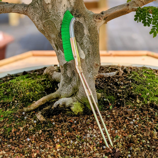 Nylonbürste für Bonsai-Stammbereich Reinigung – Gartenpflege Werkzeug