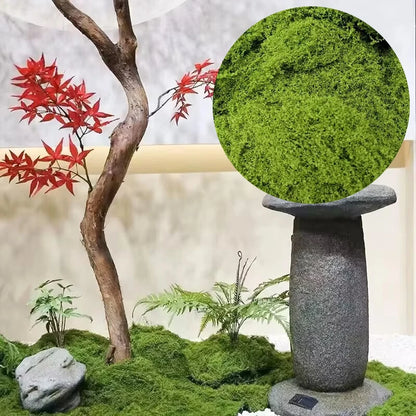 Moos-Überzug Stück – Moos Flocken Ornament für Dekoration und Landschaftsgestaltung