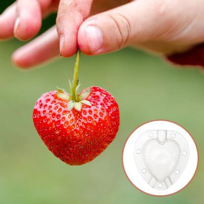 Herzform Gemüseformer – Kreative Formschale für Gemüse und Obst