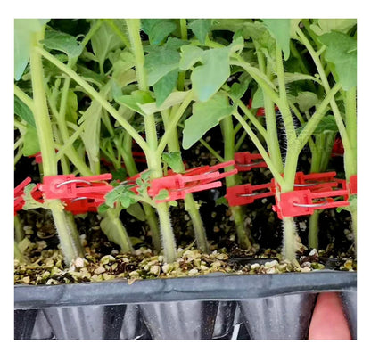 Kunststoff Veredelungsclips für Gartenpflanzen – Ideal für Gemüse und Pflanzenpflege