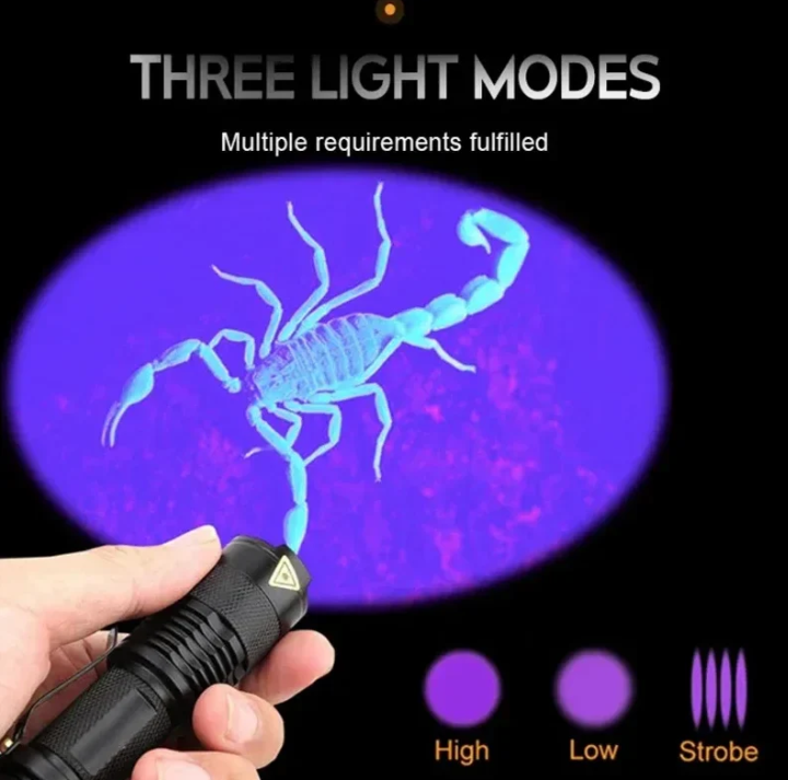 UV-LED-Taschenlampe – Ultraviolette Leuchte zur Fleckenerkennung und Haustierurin-Detektion