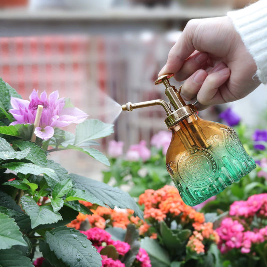 Geprägte Glasflasche mit Metall-Düse – Pflanzensprüher für Blumenbewässerung im Vintage Design