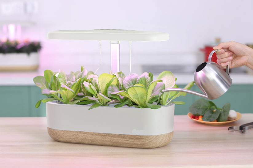 Intelligentes Hydroponik Set für Drinnen – Erdefreie Pflanzenzucht für Zuhause