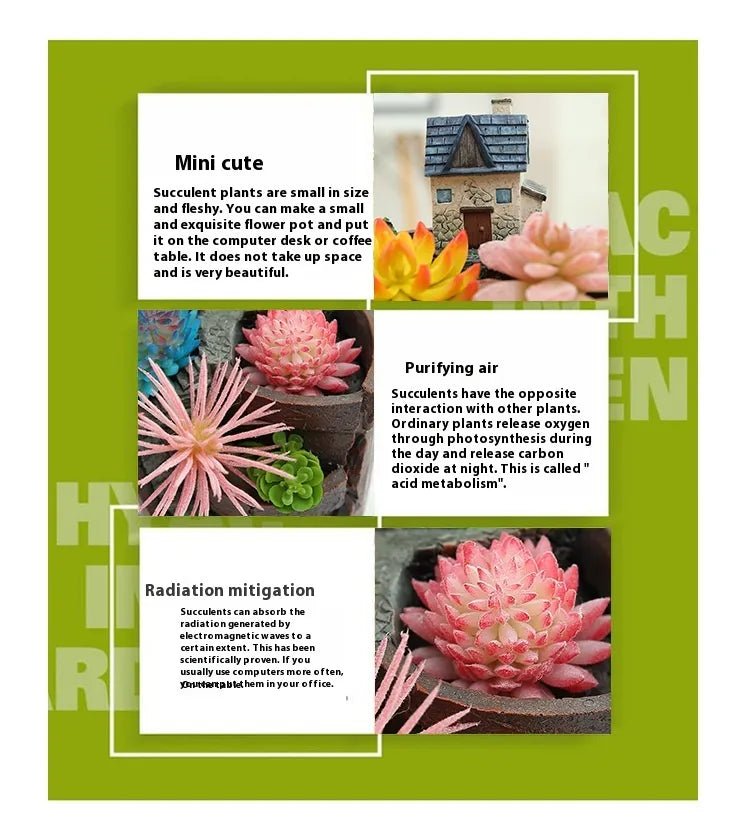 Sukkulent Dekorationsblumentopf für Mini-Garten – Bonsai Pflanztopf für Mikrolandschaft und Garten