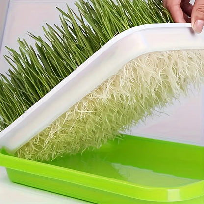 Keimschalen mit Deckel – Doppelschichtiger Saatguttausbringtray für effektive Samenkeimung