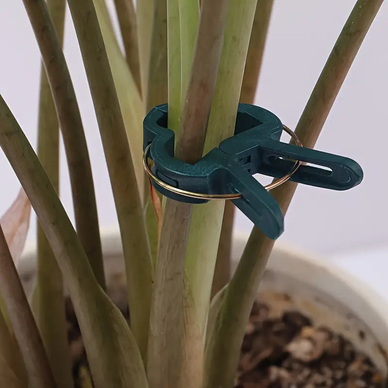 Gartenclip-Set – Pflanzenschlaufen für Pflanzenstützen und Gartenpflege