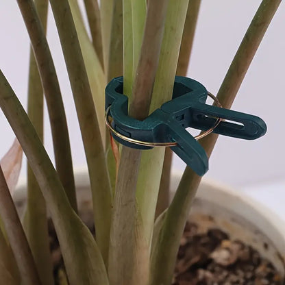 Gartenclip-Set – Pflanzenschlaufen für Pflanzenstützen und Gartenpflege